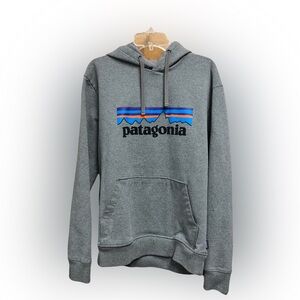 Patagonia Gray Hoodie with Blue and Orange Details